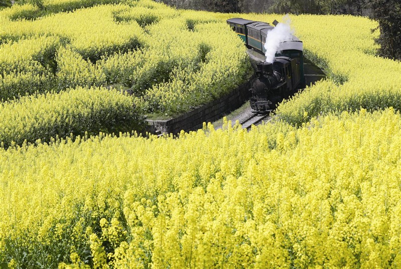 鄭石岩