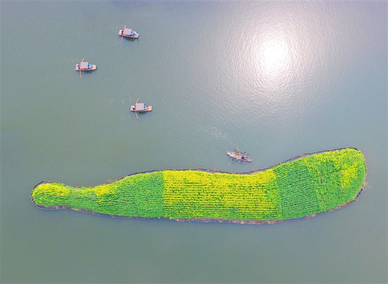 吳大海