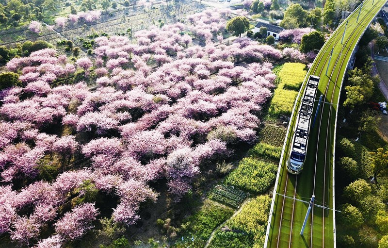 【星雲大師全集1】六祖壇經講話 般若品第二  問題講解 1