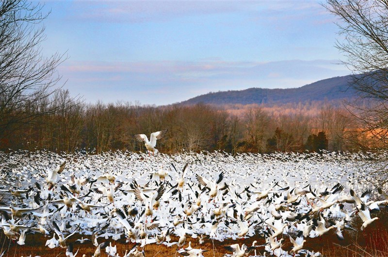 【星雲大師全集35】人間佛教當代問題座談會 42