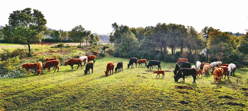 【星雲大師全集36】人間佛教當代問題座談會 54