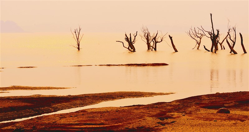 【星雲大師全集38】人間佛教當代問題座談會 125