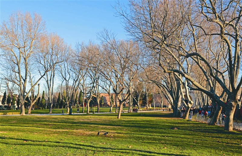 【星雲大師全集38】人間佛教當代問題座談會 135