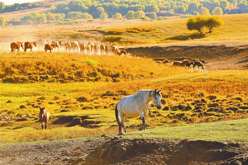 【星雲大師全集39】人間佛教當代問題座談會 159