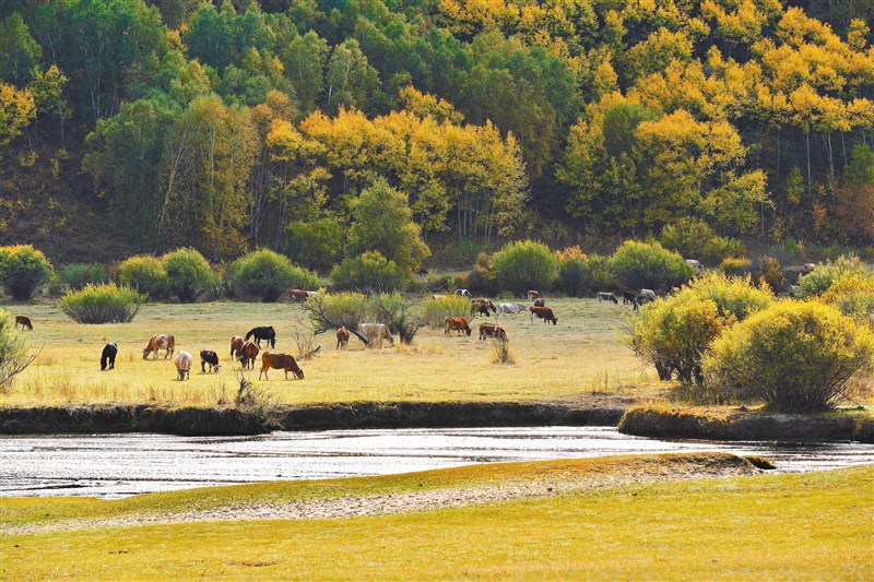 【星雲大師全集39】人間佛教當代問題座談會 186佛教對「素食問題」的看法 1 