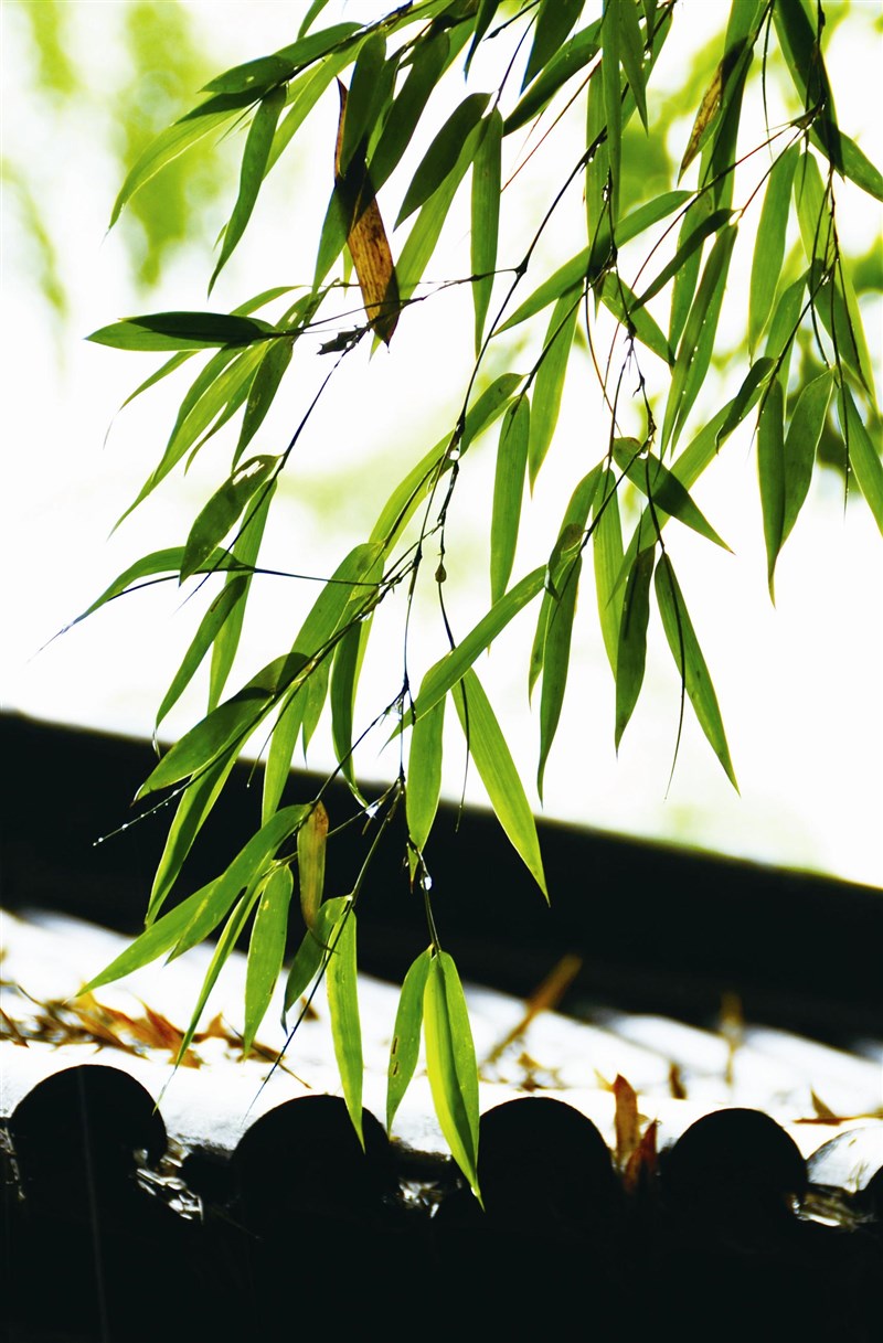 【星雲大師全集7 般若心經的生活觀】般若心經的生活觀 透過故事讀心經 下卷6