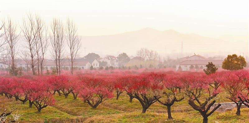 【星雲大師全集123】隨堂開示錄 141隨堂開示錄─講座論壇 14 ​ 生命的禮讚 3-2