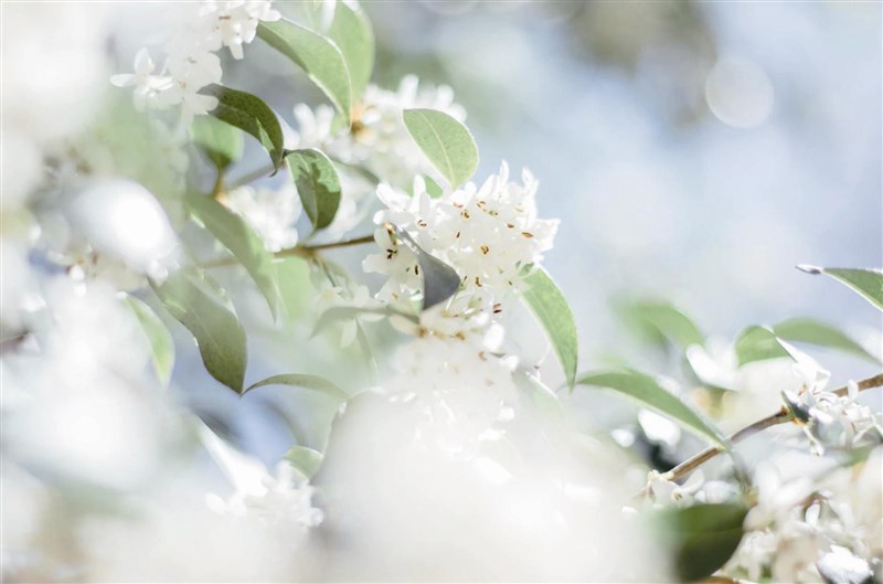 【星雲大師全集7 般若心經的生活觀】般若心經 的生活觀 透過故事讀心經 下卷16  超越對待、善惡 找到本來面貌