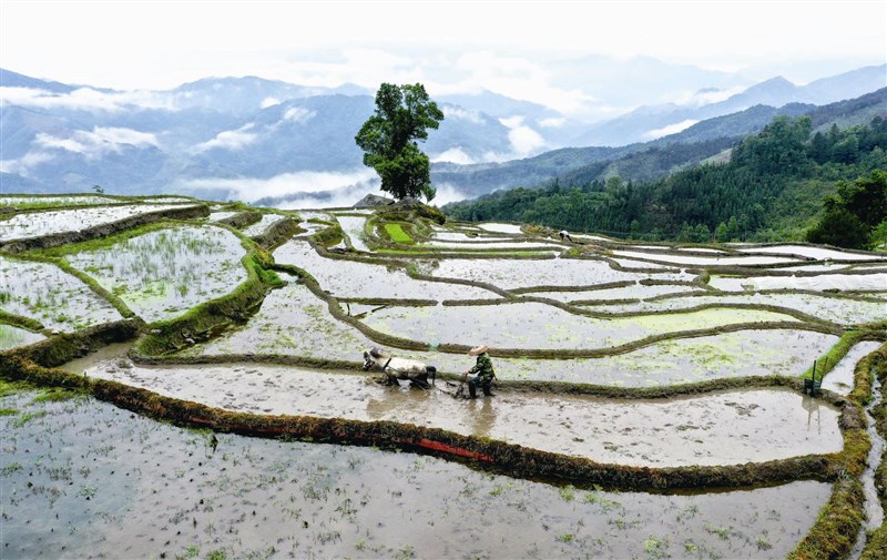 【星雲大師全集７ 般若心經的生活觀】般若心經 的生活觀透過故事讀心經 下卷(23)