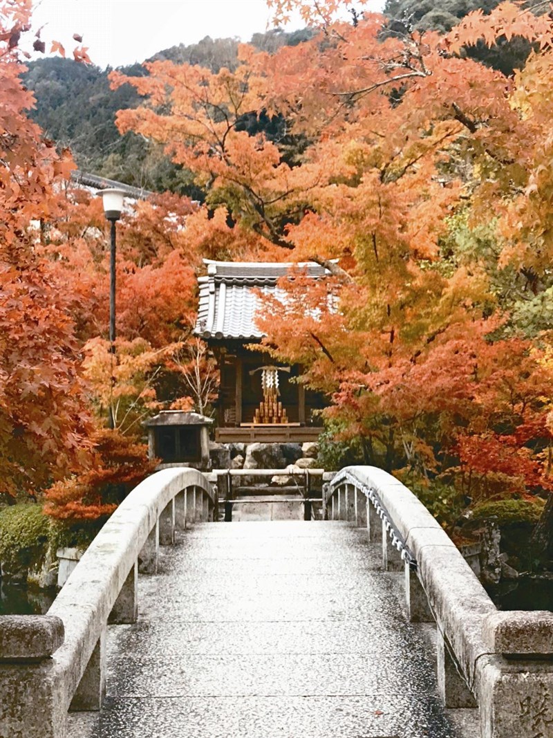 【星雲大師全集126】隨堂開示錄 192隨堂開示錄─集會共修 4  為什麼要念佛 2-2  佛七圓滿前夕開示