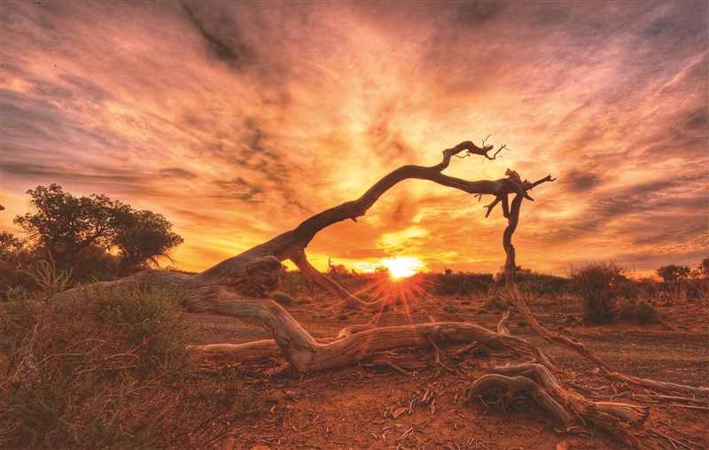 【星雲大師全集127】隨堂開示錄 259隨堂開示錄─集會共修 36  佛光山往事之美 3-1  福慧家園共修會
