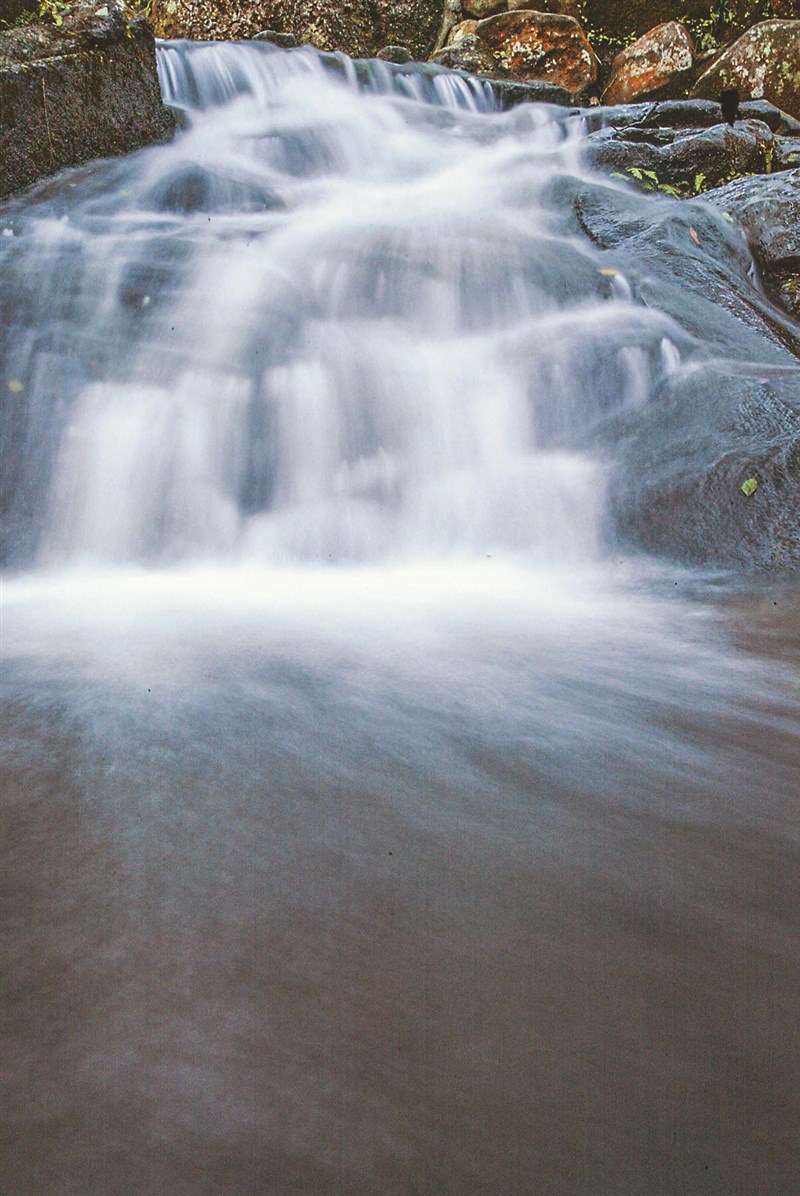 【星雲大師全集129】隨堂開示錄 309