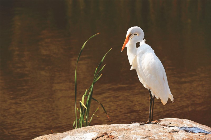 【星雲大師全集129】隨堂開示錄 312隨堂開示錄─對談專訪 35  異中求同 同中存異──與單國璽樞機主教對談 6-5