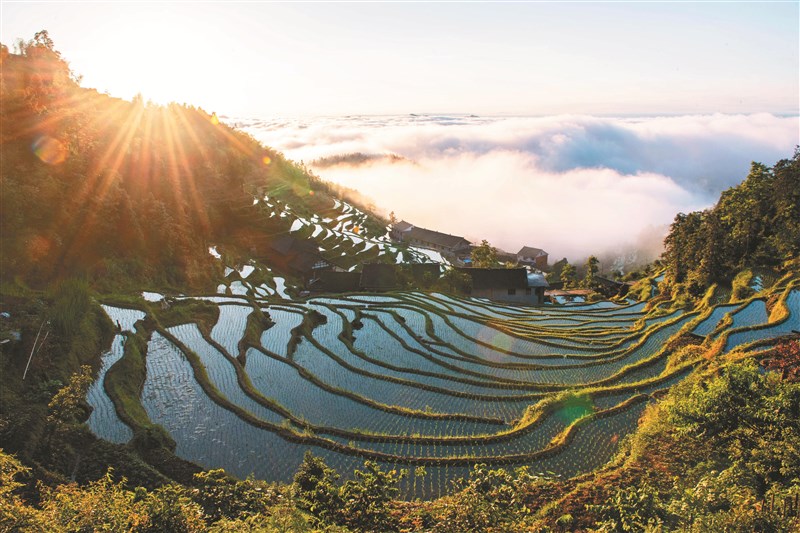 【星雲大師全集130】隨堂開示錄 352  隨堂開示錄─對談專訪 49  共生共榮的世界 3-3