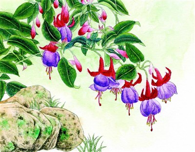 星雲說偈--莫起瞋恚