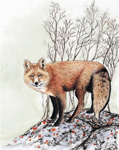 星雲說偈 一切法如幻