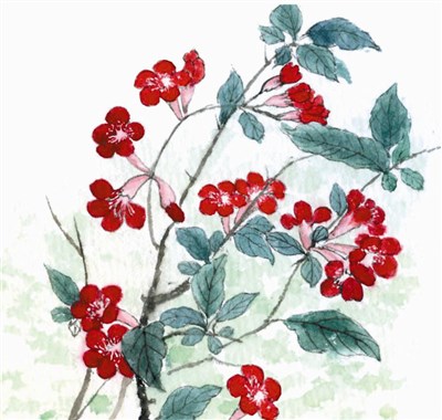 星雲說偈--自在的生活