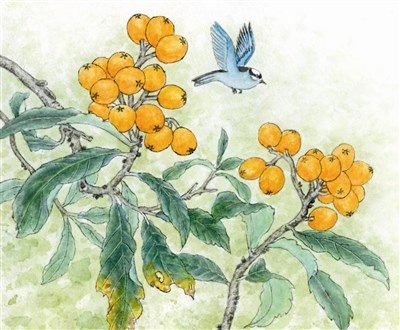 星雲說偈--修心之要