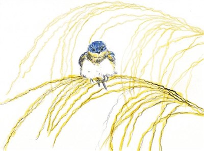 星雲說偈--發願度生