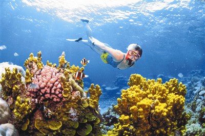 【佛光菜根譚星雲大師一筆字(28)-1 】 世界河海奇觀 六之一  