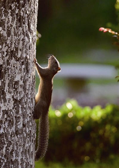 【佛光菜根譚星雲大師一筆字(30)-1】一的世界(一)