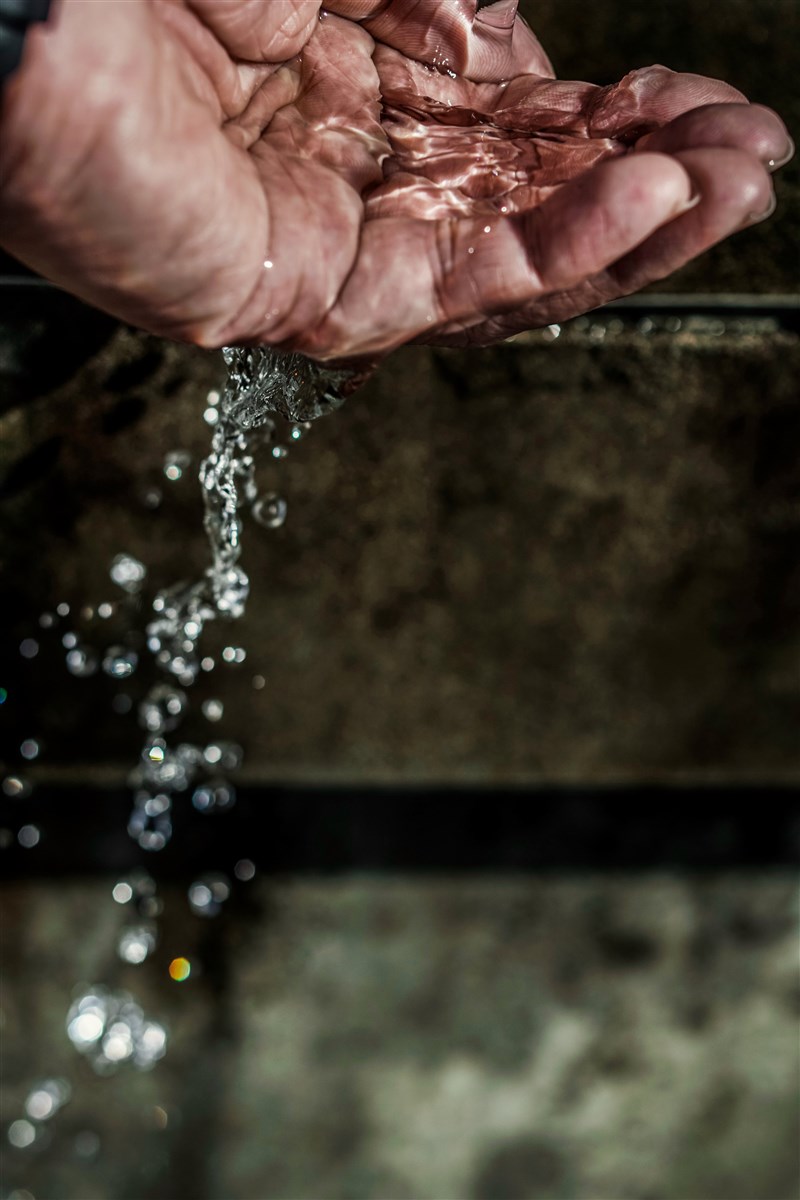 星雲大師  般若