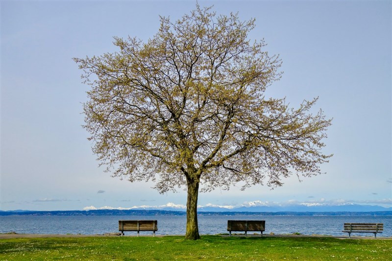 星雲大師   命運與因緣