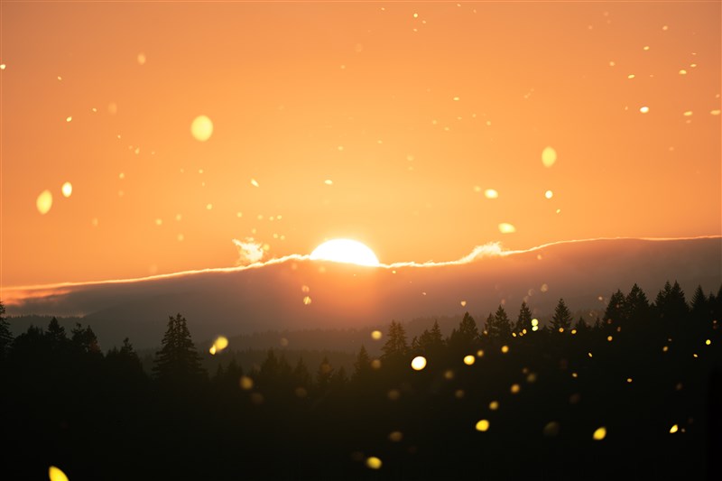 星雲大師  管理情緒和脾氣