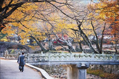 人間系列  《參學瑣憶》序