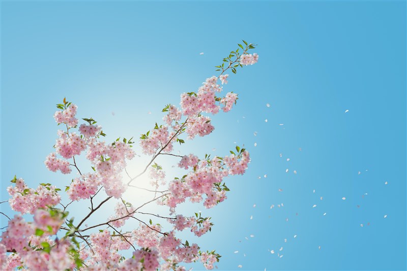 【延伸閱讀】 星雲大師 「用」的意義