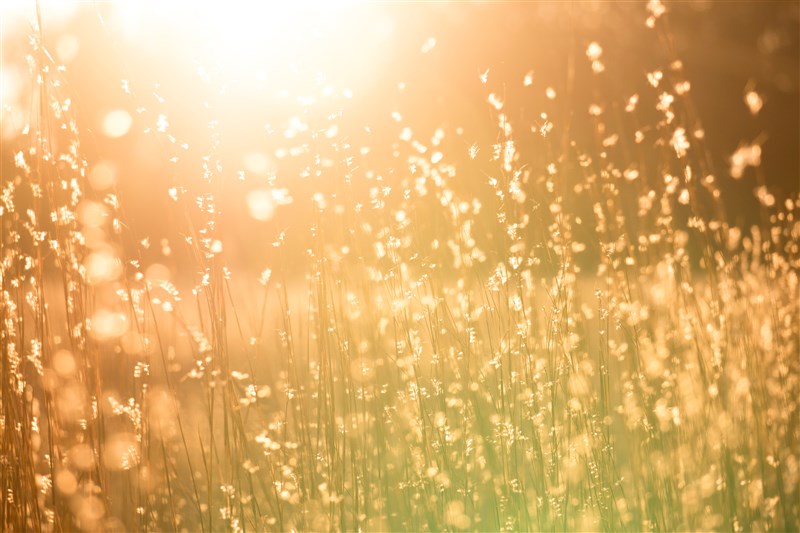 【延伸閱讀】星雲大師   悟道者的形象