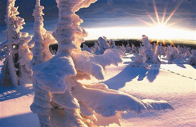 【佛光菜根譚星雲一筆字(39-5)】如是因緣五之五