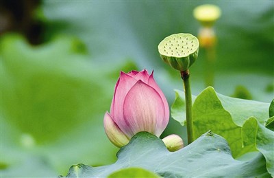 不逆人意