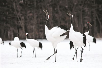 【佛光菜根譚星雲一筆字(36)-4】第四門 