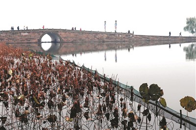 【佛光菜根譚星雲大師一筆字(28)-1 】 世界河海奇觀 六之一  