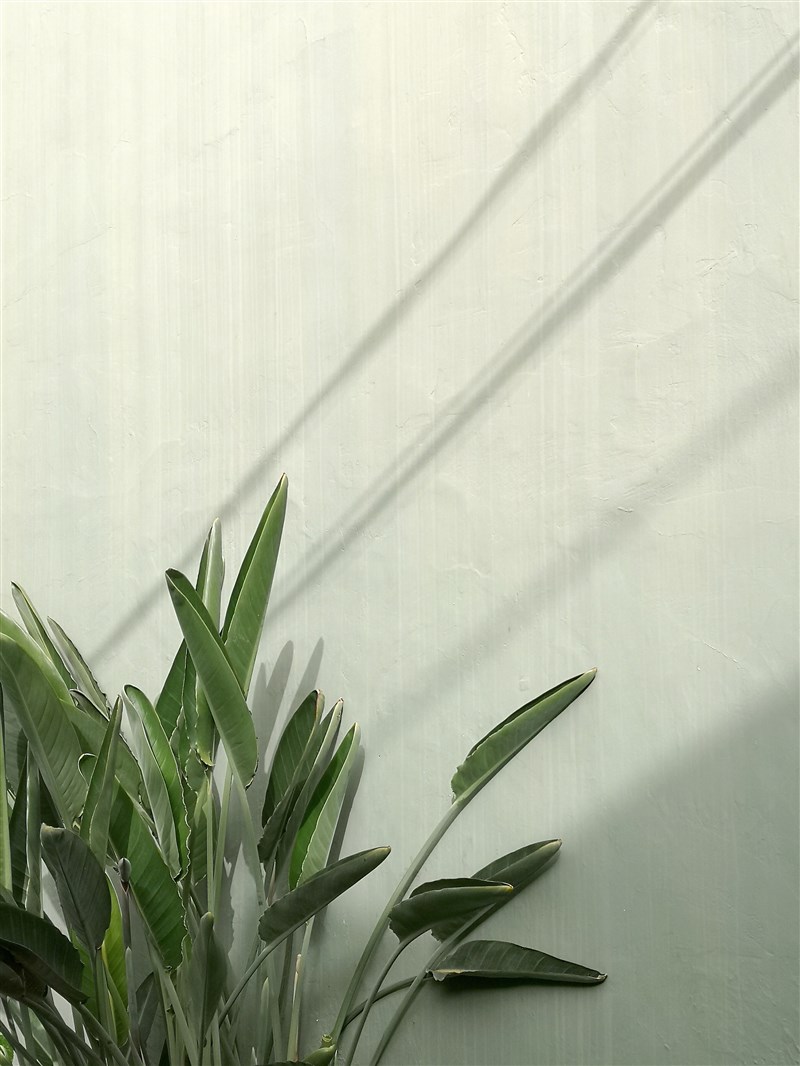【延伸閱讀】 日用而不知