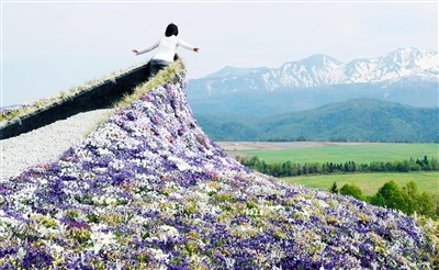 【佛法真義】 生死事小