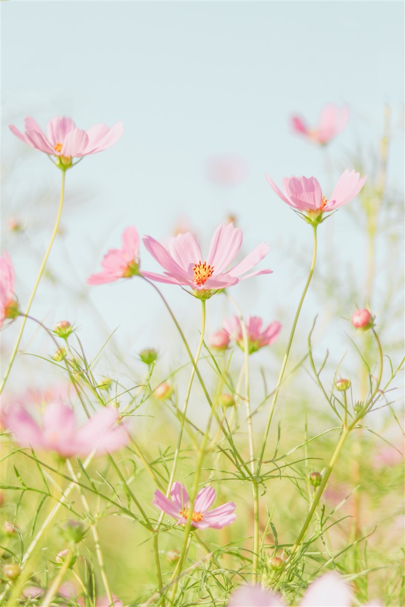 【延伸閱讀】賺到歡喜