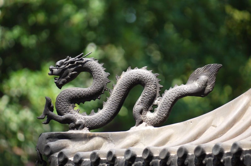 【延伸閱讀】修行龍