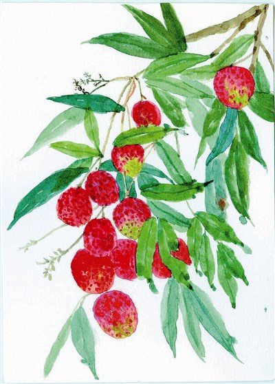 星雲說偈--何處覓心安？