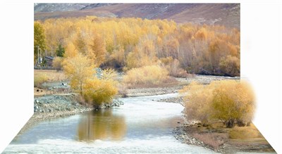 【星雲一筆字佛教詩偈】(15)