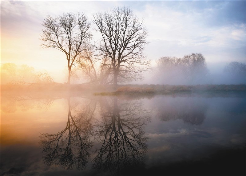 【星雲一筆字佛教成語】(53)