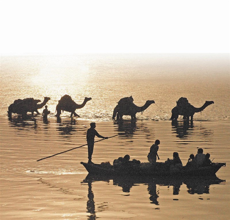 【星雲一筆字佛教成語】(80)