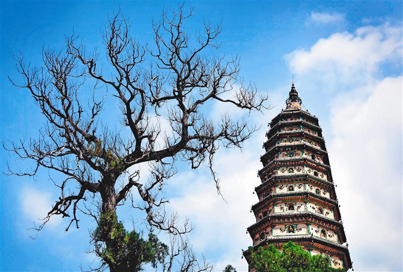 【星雲一筆字佛教成語】(81)