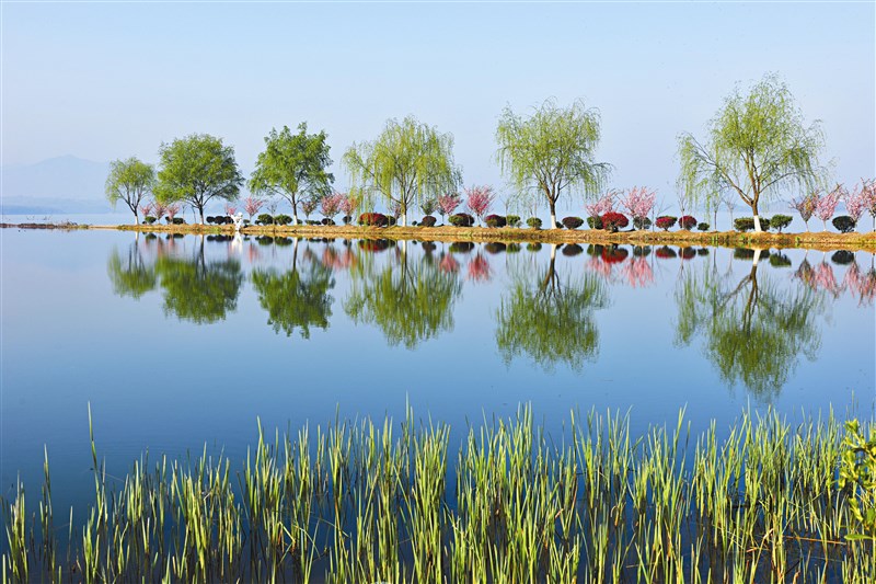 【星雲一筆字詩歌偈頌】(20)-2