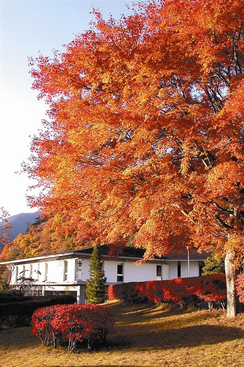 【星雲一筆字佛教成語】(94)