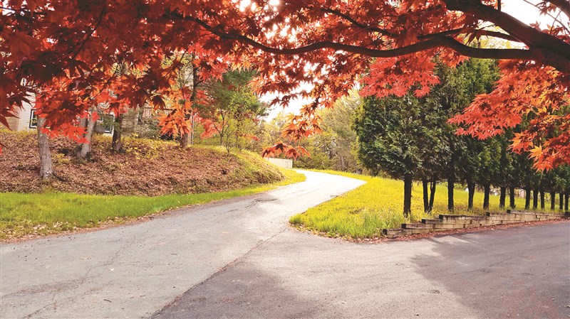 【星雲大師全集121】隨堂開示錄 510  隨堂開示錄─青年勉勵 28  發現因緣的重要  3-3  第五屆國際傑出青年英文禪學營