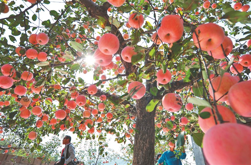 【星雲大師全集119】隨堂開示錄 631  隨堂開示錄─教育講習 13  佛子之道 4-4  為全山大眾開示 