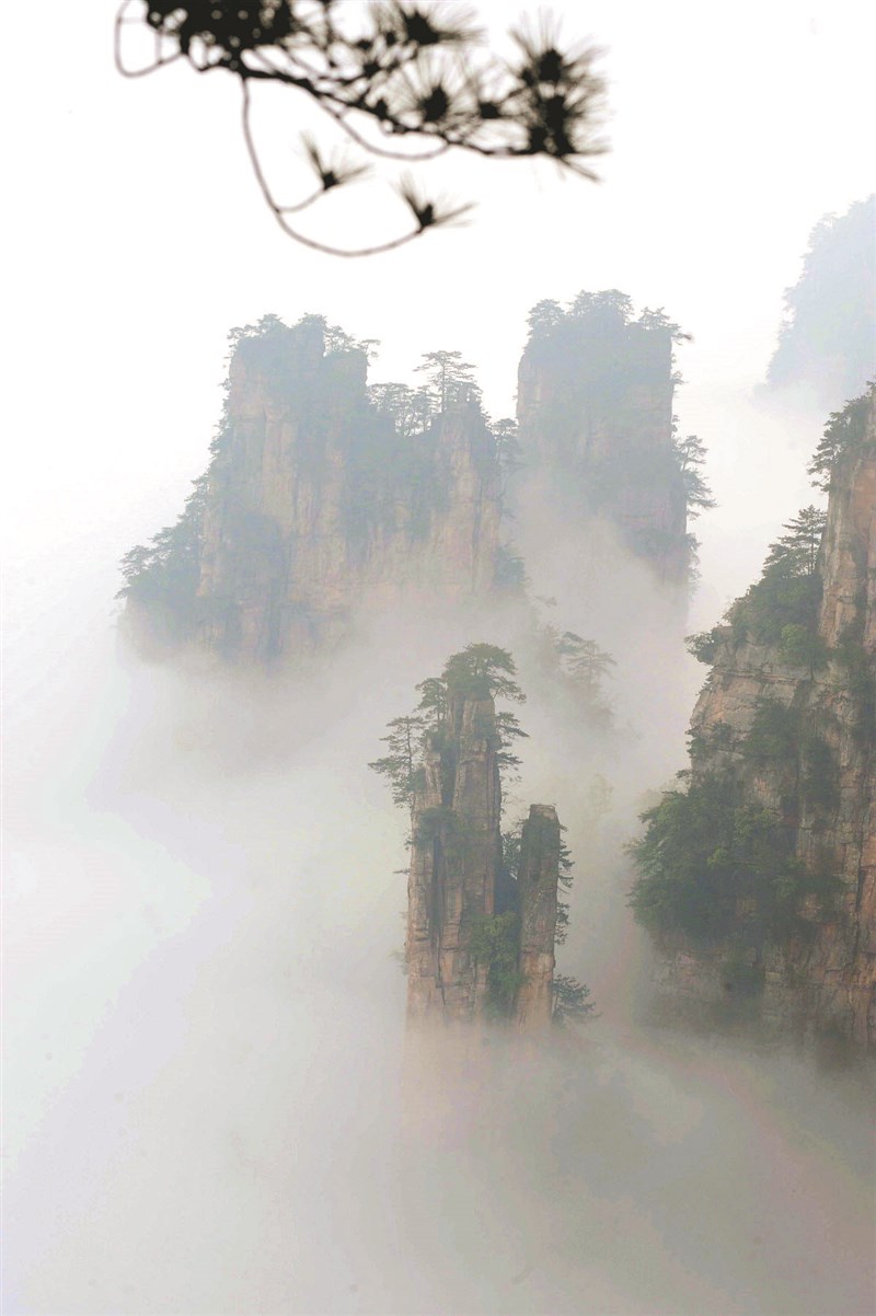 【星雲大師全集116】隨堂開示錄─教育講習 35  忍的力量 3-2