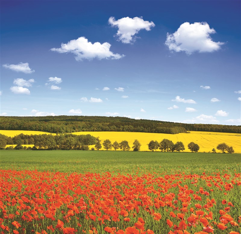 【星雲大師全集116】隨堂開示錄─教育講習 38  對佛教團體的期望 6-1